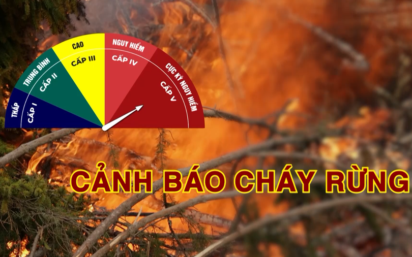 Cảnh báo cháy rừng (16/10/2026)