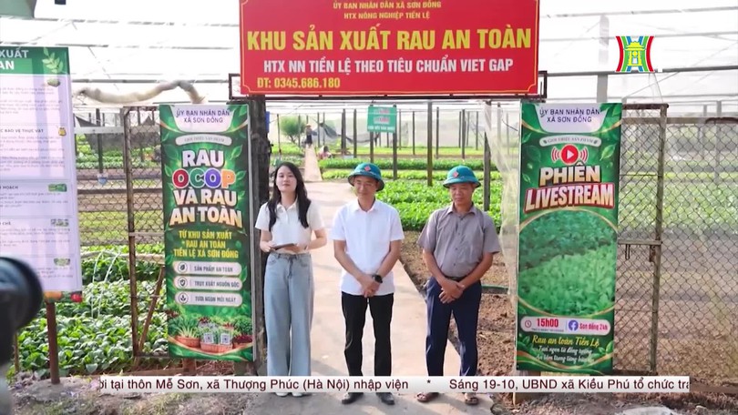 Xã Sơn Đồng đẩy mạnh quảng bá sản phẩm qua livestream