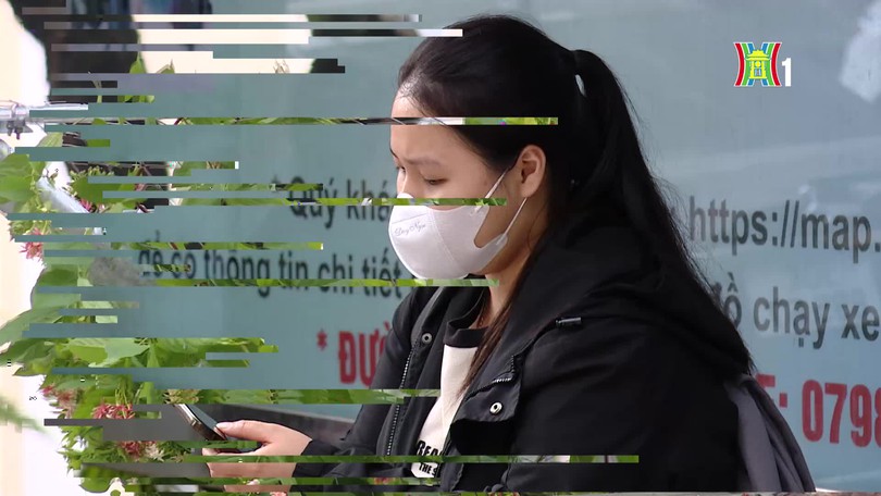 Tô điểm cho phố phường Hà Nội thêm xanh
