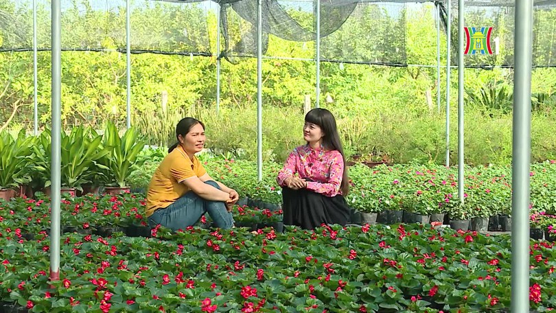 Cây cảnh Tích Giang | Mỗi xã một sản phẩm | 19/10/2026