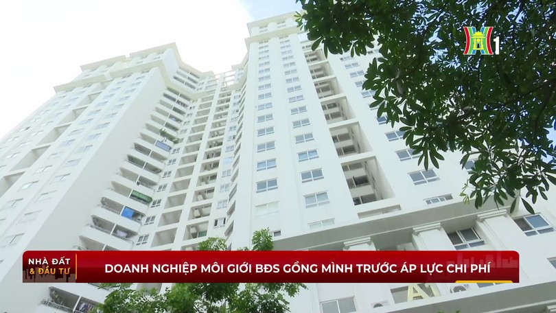 Doanh nghiệp môi giới BĐS gồng mình trước áp lực chi phí