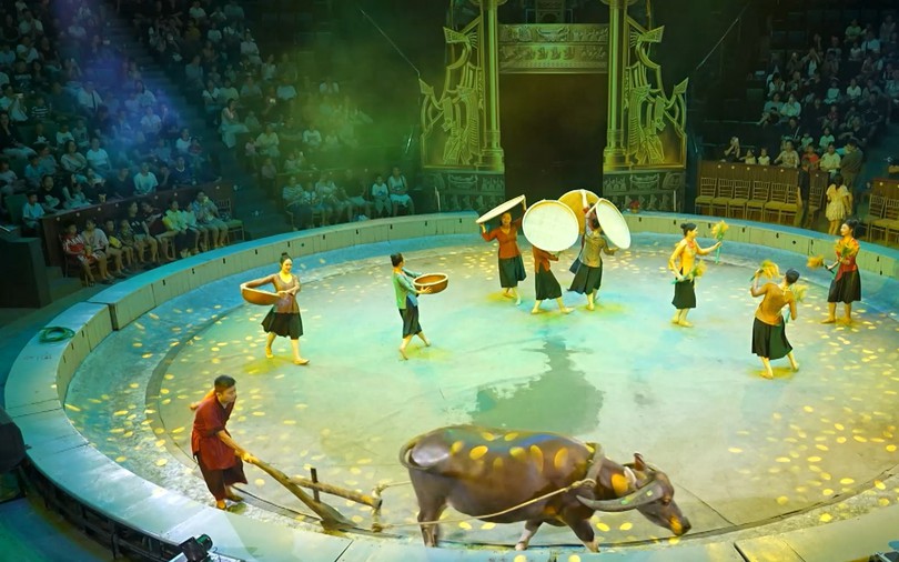 Nghệ thuật xiếc kết hợp với công nghệ hiện đại | Hà Nội đến để yêu | 16/10/2026