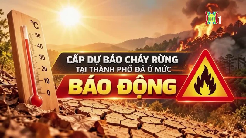 Cảnh báo cháy rừng (22/10/2026)
