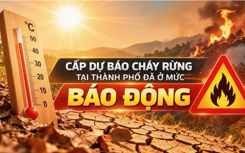 Cảnh báo cháy rừng (20/10/2026)