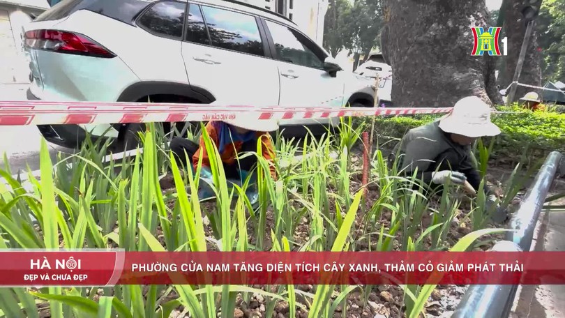 Phường Cửa Nam tăng diện tích cây xanh, thảm cỏ giảm phát thải