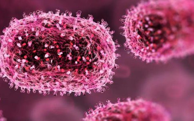 Pháp ghi nhận ca nhiễm virus Shamonda đầu tiên ở người