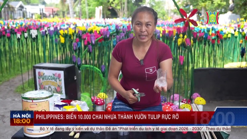 Philippines: Biến 10.000 chai nhựa thành vườn tulip rực rỡ
