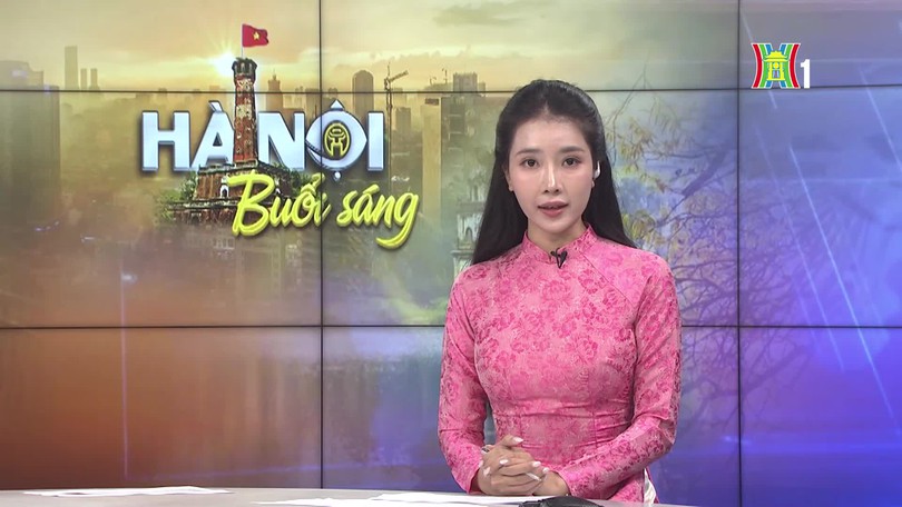 Hà Nội không thay thế cây xanh đồng loạt