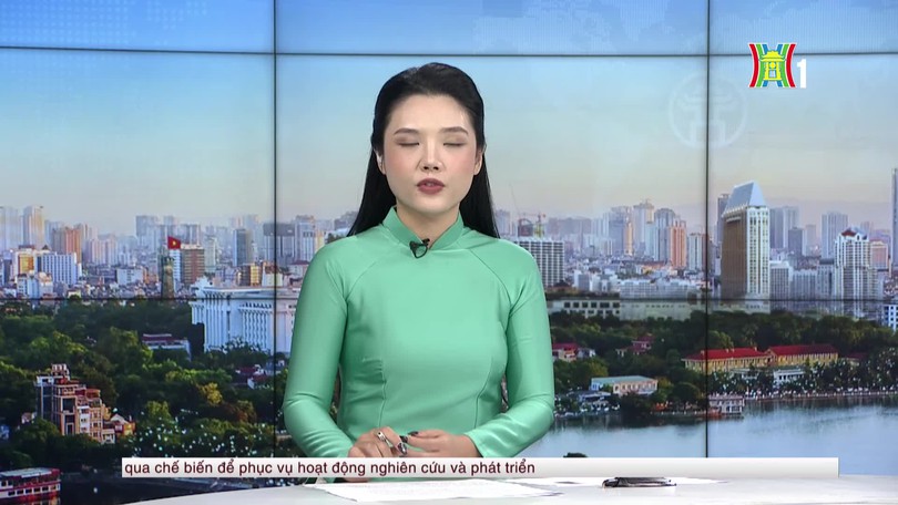 Lễ hội 'Con đường văn hóa Hàn Quốc' tại Hà Nội
