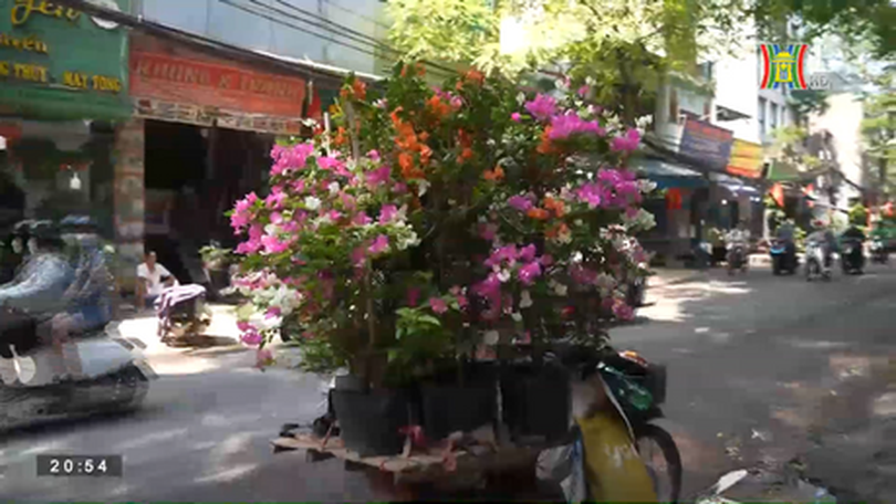 Chợ Bưởi một tháng sáu phiên