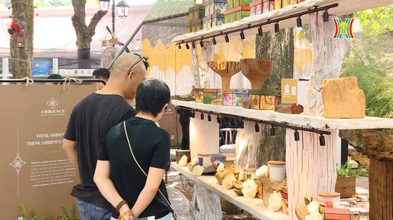 Đi tìm không gian sáng tạo| Cuộc sống thành thị| 11/11/2023