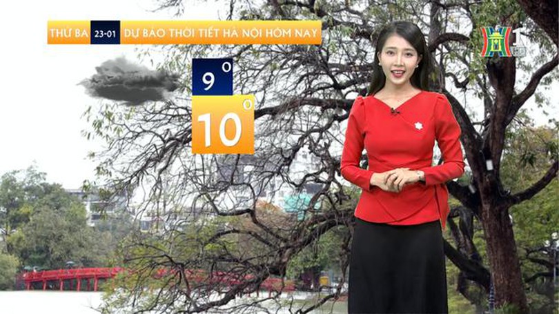 Dự báo thời tiết | 23/01/2024