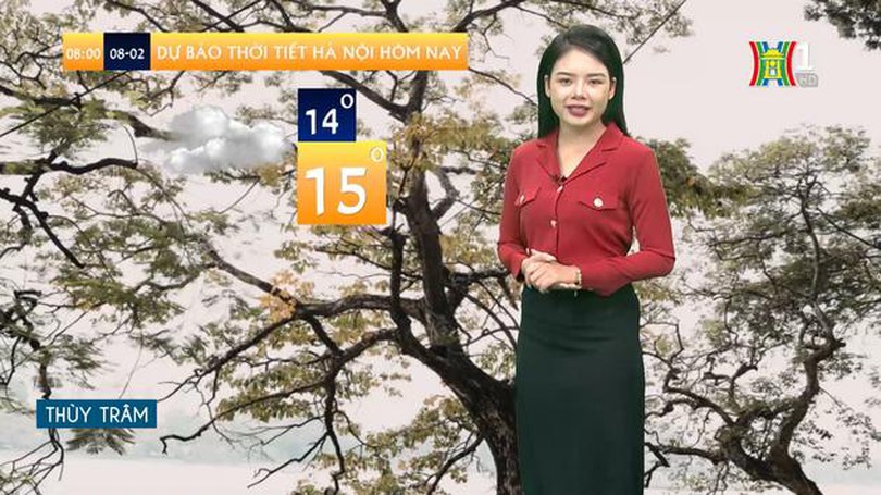 Dự báo thời tiết | 08/02/2024