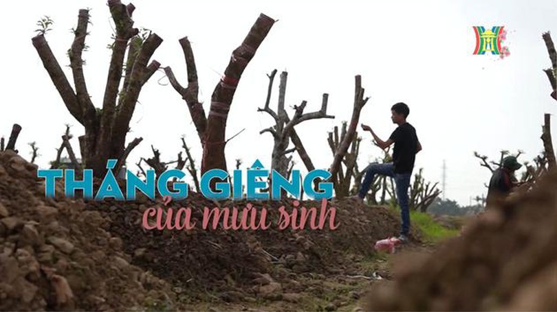 Tháng giêng của mưu sinh
