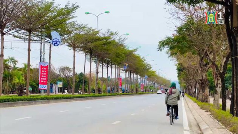 Không gian xanh trên tuyến đường Văn Tiến Dũng