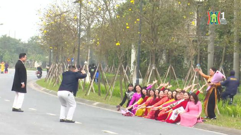 Tuyến đường vàng rực hoa phong linh