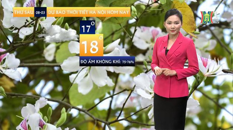 Dự báo thời tiết | 08/03/2024