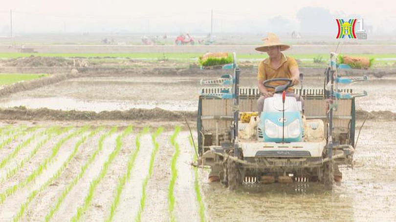Đảm bảo nước tưới cho sản xuất vụ Xuân 2024 | Nông nghiệp nông thôn | 14/03/2024