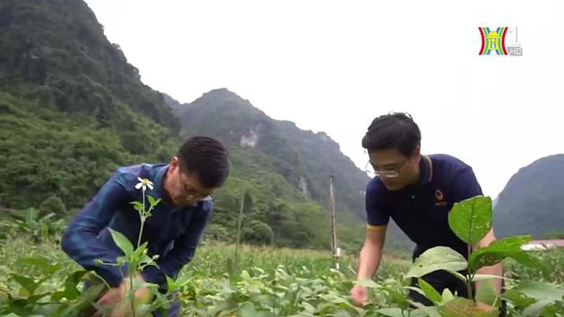 Người ươm mầm hạt dưỡng | Con đường doanh nhân | 17/03/2024