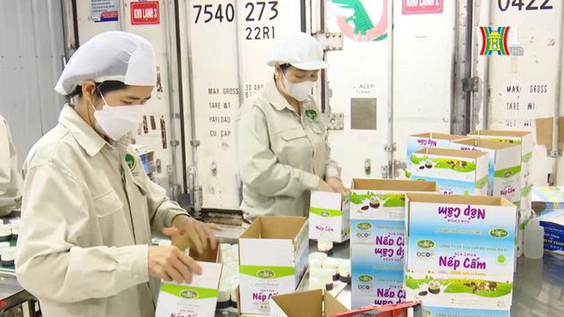 Cơ duyên với nghề sản xuất chế phẩm sữa | Người tốt quanh ta | 21/03/2024