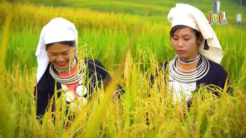 Du lịch Tuyên Quang - tiềm năng và cơ hội hợp tác | Trăm miền hội tụ | 29/03/2024