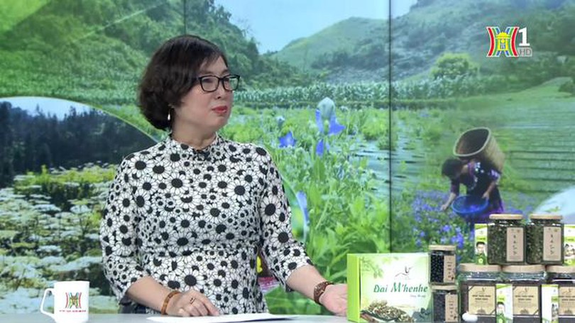 Dược liệu Việt | Con đường doanh nhân | 31/03/2024