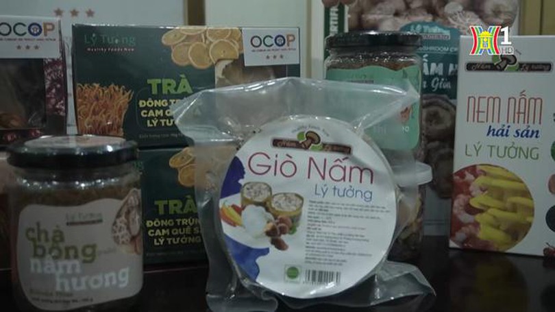 Xây dựng sản phẩm OCOP từ cây nấm | Mỗi xã một sản phẩm | 01/04/2024