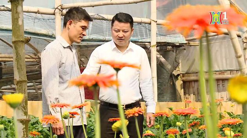 Người đưa hoa về đất lúa | Người tốt quanh ta | 05/04/2024