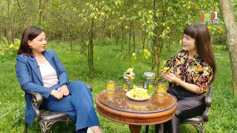 Trà hoa vàng An Xanh | Mỗi xã một sản phẩm | 08/04/2024