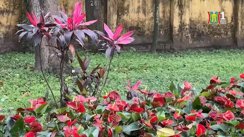 Không gian xanh mát giữa lòng Hà Nội