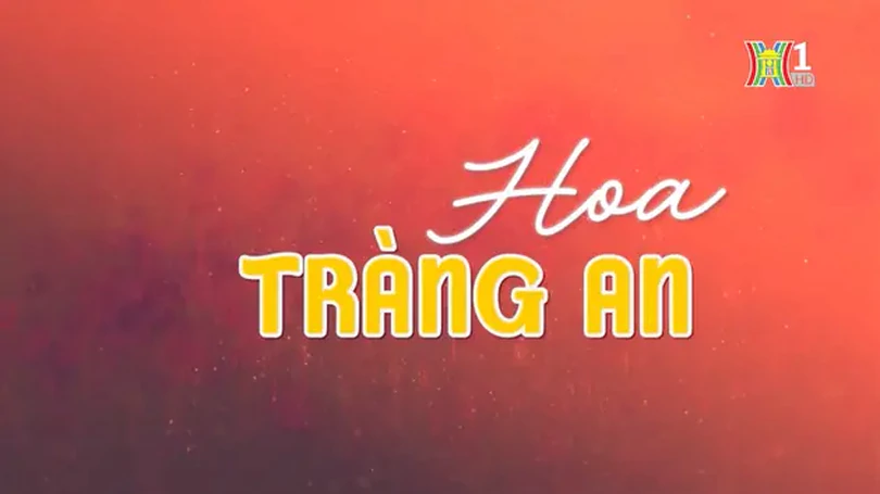 Hoa Tràng An