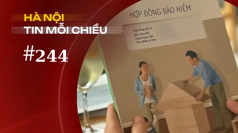 Hơn ba triệu hợp đồng bảo hiểm hết hiệu lực, ai chịu trách nhiệm? | Hà Nội tin mỗi chiều