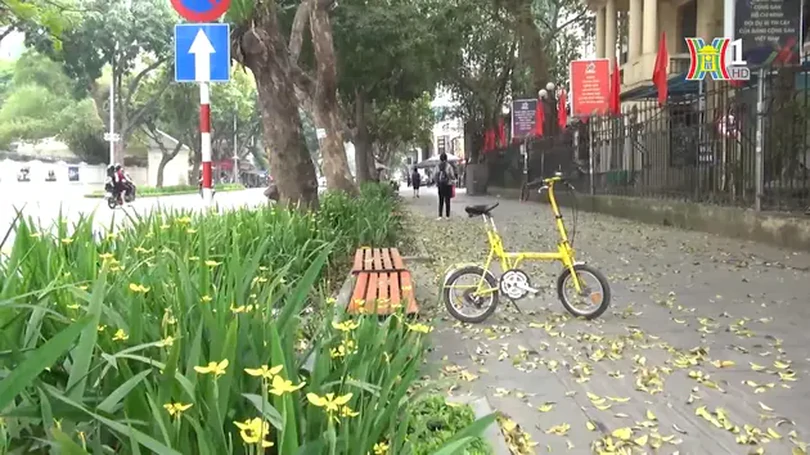 Mùa lá rụng về trên phố