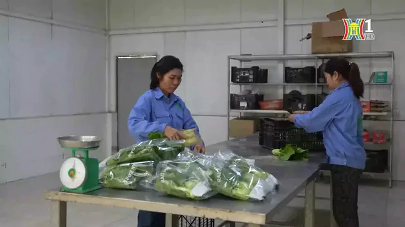 Ứng dụng công nghệ cao tạo đà phát triển nông nghiệp | Nông nghiệp nông thôn | 02/05/2024