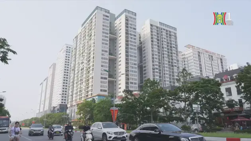 Giá chung cư cao đột biến là do đầu cơ