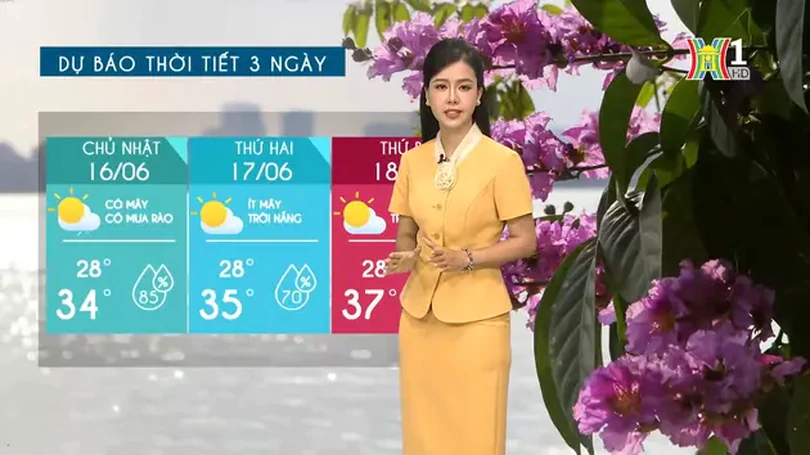 Dự báo thời tiết chiều và tối | 15/06/2024