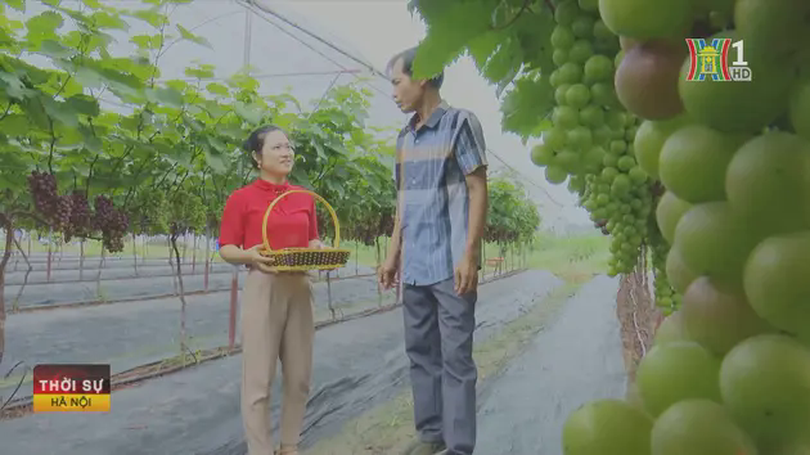 Luật Thủ đô (sửa đổi) mở đường cho nông nghiệp tập trung