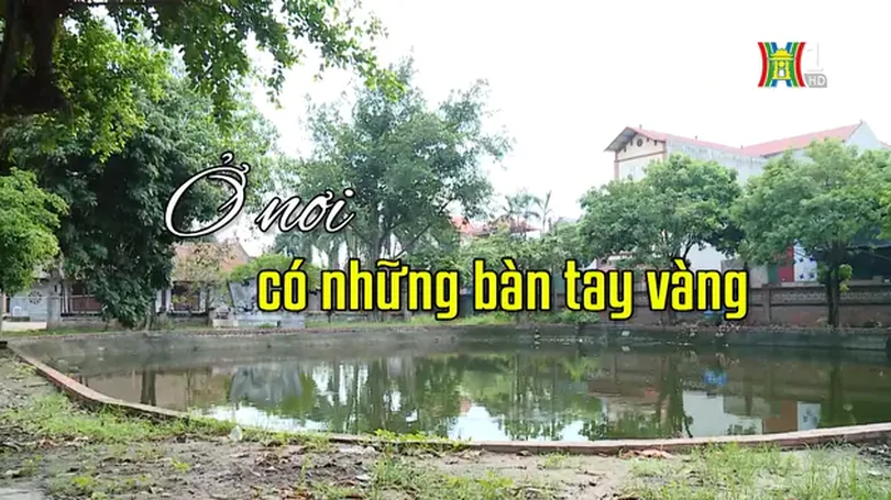 Ở nơi có những bàn tay vàng | Người Hà Nội | 23/06/2024