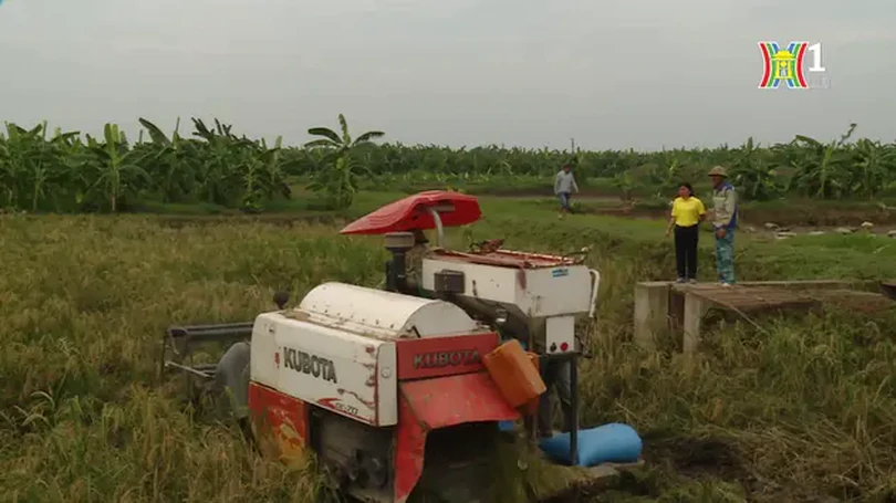 Dám từ bỏ để bắt đầu | Con đường doanh nhân | 23/06/2024