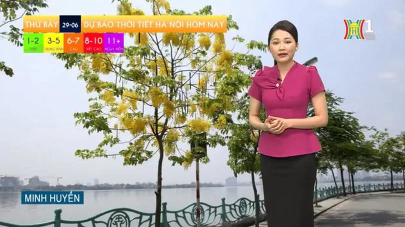 Dự báo thời tiết | 29/06/2024