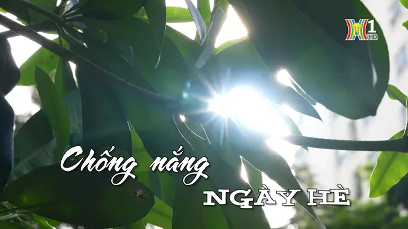 Chống nắng ngày hè | Nhịp sống Hà Nội | 08/07/2024