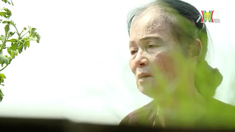 Người mẹ | Người Hà Nội | 21/07/2024
