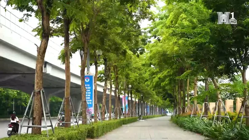 Đường Phạm Văn Đồng xanh mát và hiện đại
