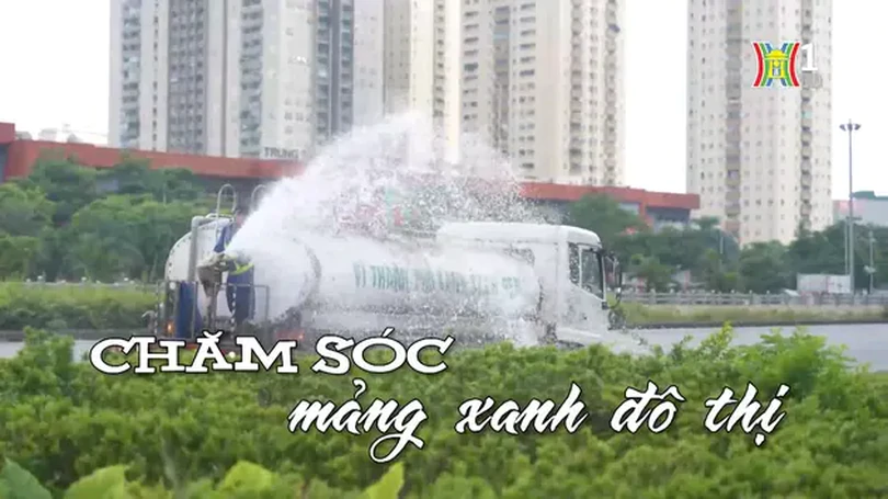 Chăm sóc mảng xanh cho đô thị | Nhịp sống Hà Nội | 08/08/2024