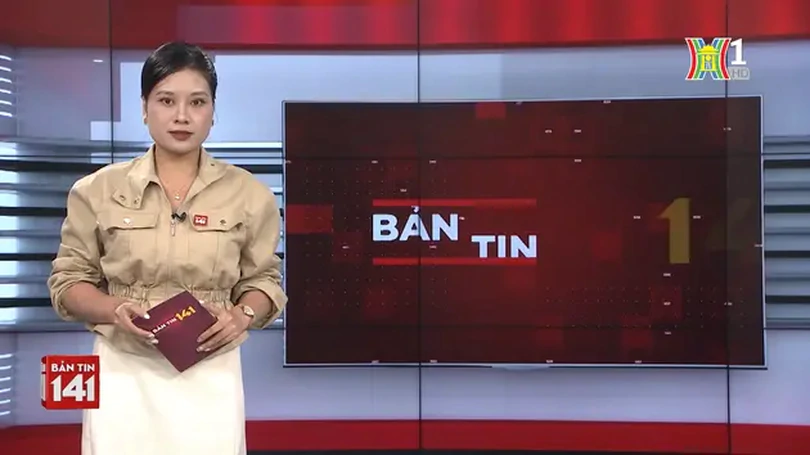 Bản tin 141 | 08/08/2024