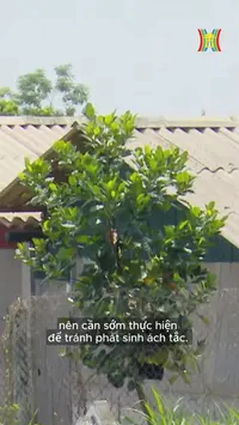 Bộ Tài chính yêu cầu địa phương tính đơn giá thuê đất
