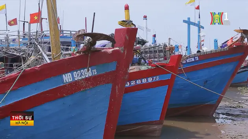 100% tàu thuyền tại Nam Định đã về tránh bão an toàn