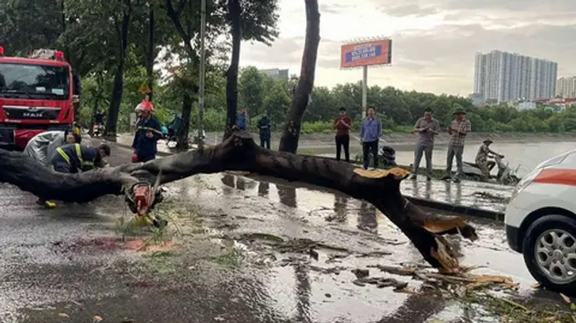 Khuyến cáo người dân không ra đường khi bão đổ bộ