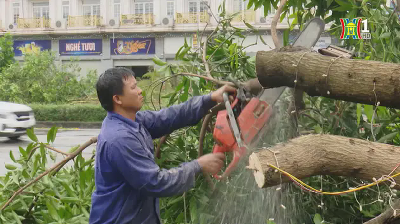 Xử lý cây gãy, đổ, đảm bảo giao thông sau bão