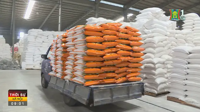 Xuất gạo ngay cho người dân bị ảnh hưởng bão Yagi